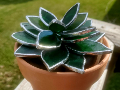 Succulent 4-Week Stained Glass