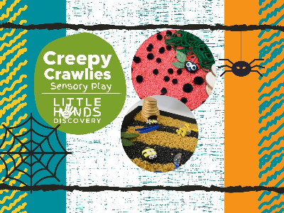 Creepy Crawlies Sensory Play (12 months-6 Years)